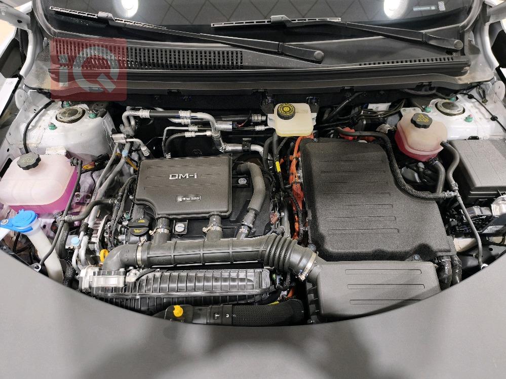 بي واي دي ‎سونغ برو DM-i